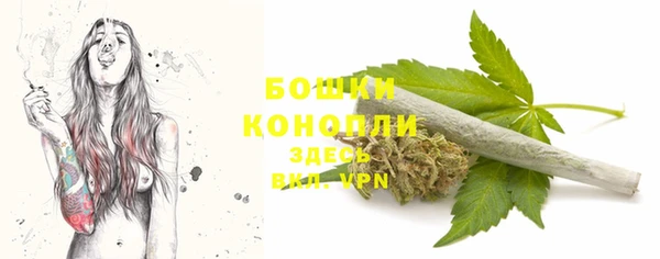 ECSTASY Вязники