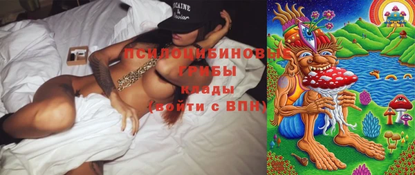 герыч Вяземский