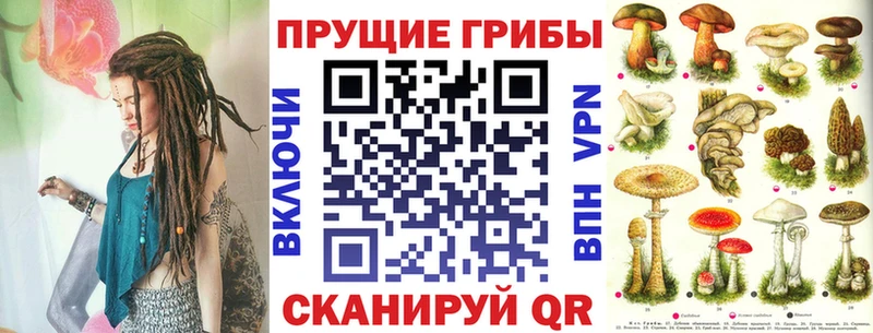 Галлюциногенные грибы GOLDEN TEACHER  Купить закладки  Ясный 